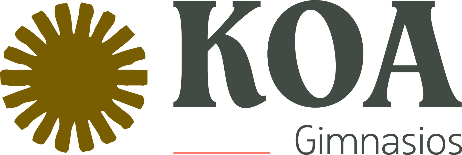 Recurso 4koa